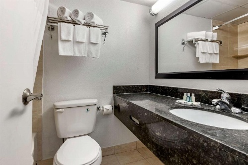 Quality Inn & Suites Vestal Binghamton Near University image 29